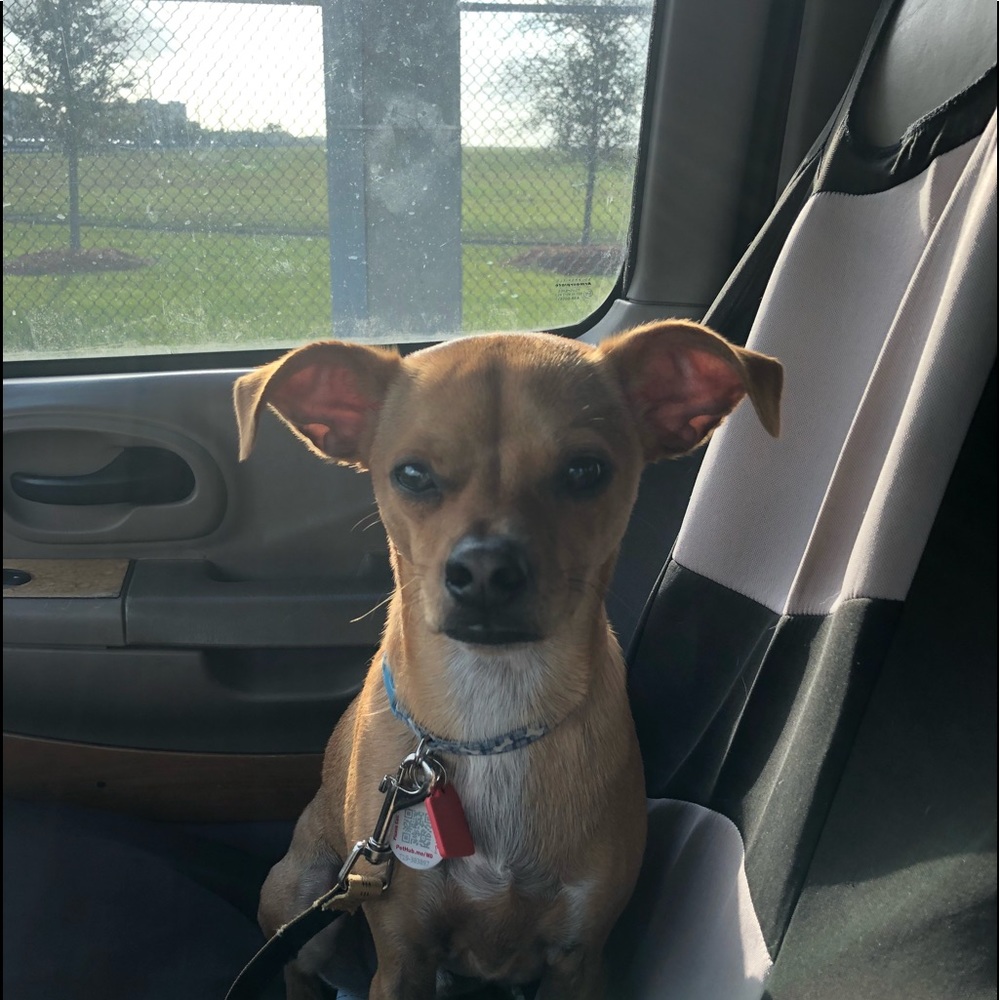 Meet your Posher, Lori